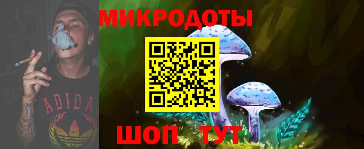 Галлюциногенные грибы MAGIC MUSHROOMS  Вход с VPN  Электрогорск 